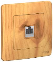 Розетка компьютерная с рамкой Systeme Electric Blanca 1-м. RJ45 5e ясень картинка